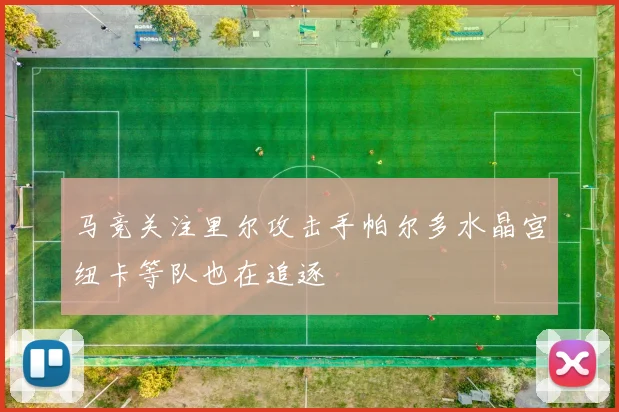 马竞关注里尔攻击手帕尔多水晶宫纽卡等队也在追逐